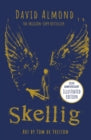 Skellig by David Almond